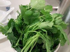 -陈记顺和潮汕牛肉火锅(番禺迎宾大道店)