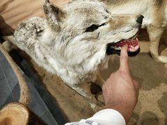 -亿利库布其七星湖沙漠生态旅游区