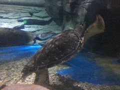 -多彩贵州城极地海洋世界