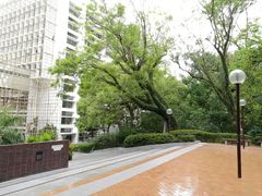 -香港大学