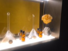 -安屿an·spa(卓悦中心商场店)