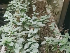 -大妙火锅·非物质文化遗产(东湖公园店)