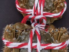 -青石桥市场北1-27号