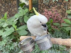 -南宫五洲植物乐园