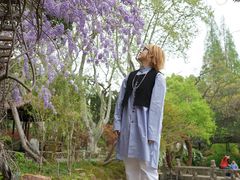 -上海醉白池公园