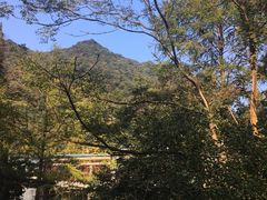 -天明山温泉大酒店