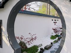 -东平国家森林公园