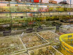 -岛中岛·海鲜大排档·万宁老字号(东澳店)