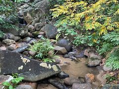 -七仙岭君澜度假酒店·桃源小馆中餐厅