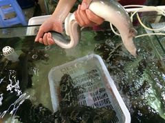 android_upload_pic-覃记海鲜美食餐厅