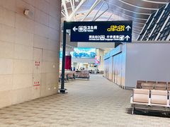 -上海浦东国际机场-T2航站楼