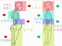 -体博士·疼痛调理·体态矫正·运动康复中心(大望路华贸店)