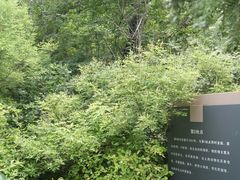 DSC08604-北京周口店北京人遗址博物馆