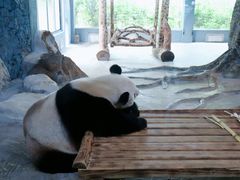 -海南热带野生动植物园