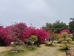 -盈香心动乐园