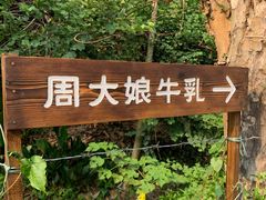 -周大娘牛乳(旧寨古村总店)