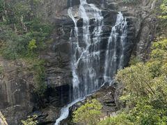 -海南热带雨林国家公园吊罗山景区