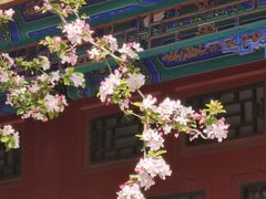 -恭王府博物馆