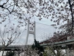 -南浦大桥长途旅游客运站