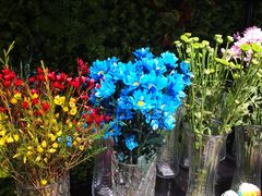 -盒马鲜生(大成店)