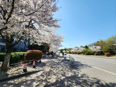 -江南大学(蠡湖校区)