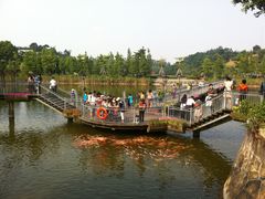 IMG_2197-东部华侨城