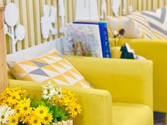 -居住主题小金星幼儿园