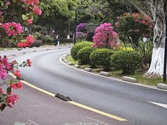 -五缘湾湿地公园