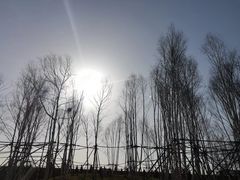 -中央戏剧学院(昌平校区)