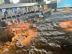 -自贡恐龙博物馆