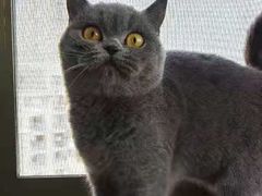 -客栈猫舍(中央北路店)