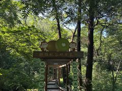 -大岭沟猕猴桃谷风景区