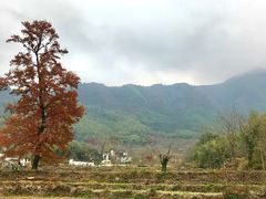 -塔川景区
