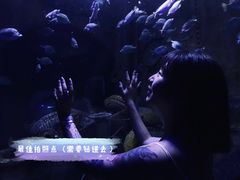 -成都浩海立方海洋公园