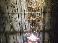 -泰·菩提树下[泰式按摩x精油SPAx肩颈头疗](新景店)