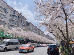 -永乐路-路侧停车场