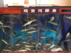 -肆月河豚·新淮扬(金融街店)