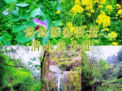 -南山植物园