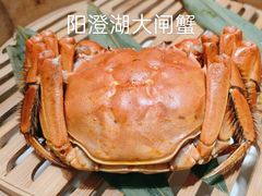 -臻萃轩中餐厅(国家会展中心店)
