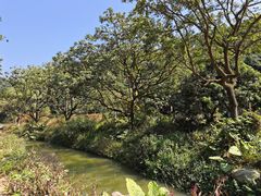 -黄埔油麻山森林公园