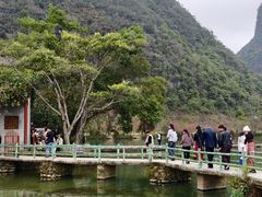 -靖西鹅泉风景区