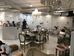 大堂-共舞时光猫咖·狗咖(新街口店)