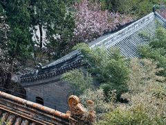 -潭柘寺景区