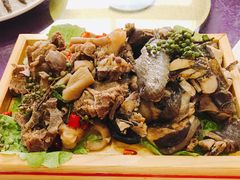 -大笮风(体育馆总店)