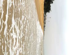 -西秀海滩公园