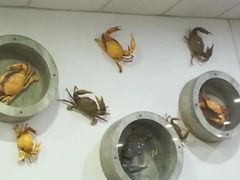 -横行八道海鲜(裕廊西店)