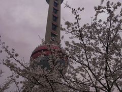 -东方明珠广播电视塔