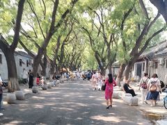 -北京国子监胡同