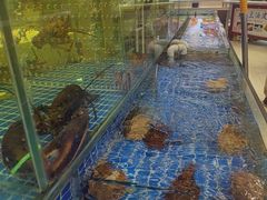-登瀛楼饭庄(领世郡店)