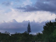 -上海山野camping·户外天幕烧烤·团建拓展营地